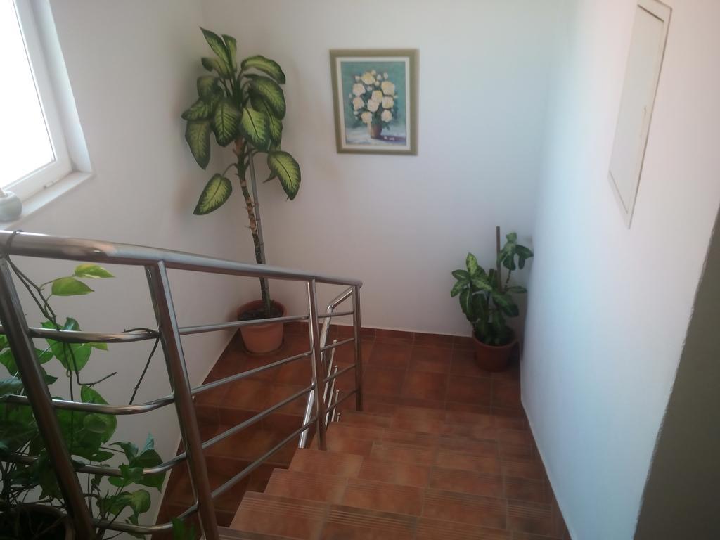 Apartmani Kapitanovic บีโอกราดนาโมรู ภายนอก รูปภาพ