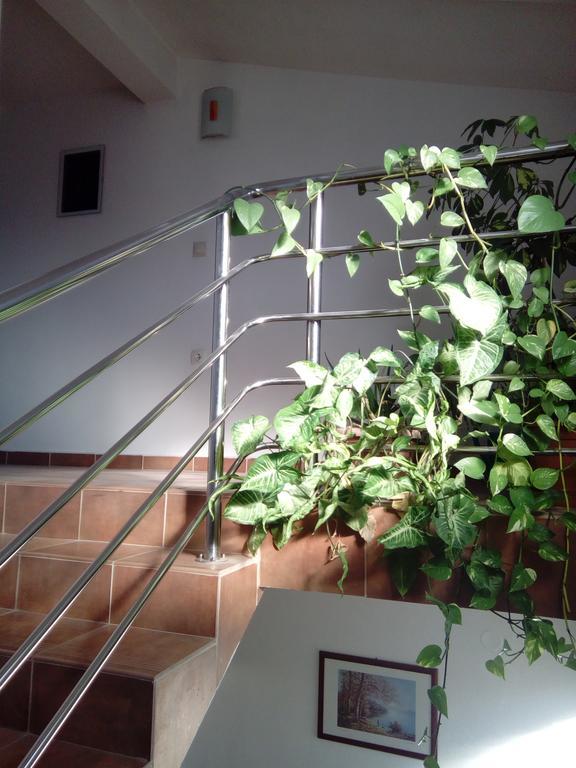 Apartmani Kapitanovic บีโอกราดนาโมรู ภายนอก รูปภาพ